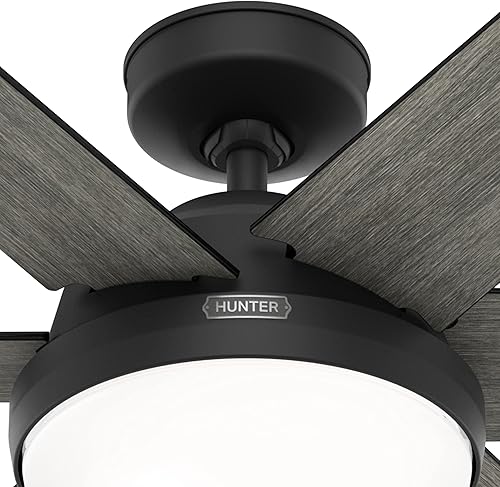 Miniatura 4 de Hunter Ventilador de techo de interior negro mate de 60 pulgadas con kit de luz LED y control remoto para dormitorio, sala de estarsala familiar,