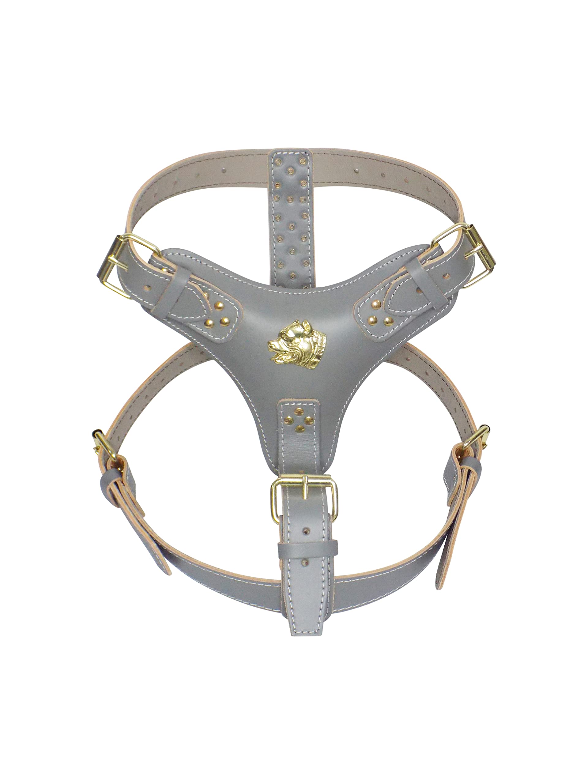 Extra Large Heavy Duty Grey Leather Dog Harness with Gold Fittings and American Bully Head Motif