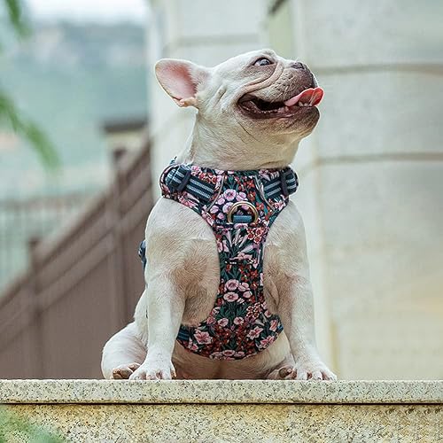 Miniatura 8 de Arnés reflectante sin tirones para perro, con asa y clip frontal, arnés acolchado de neopreno para cachorros, perros pequeños, medianos y grandes, 3