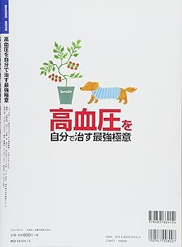 高血圧を自分で治す最強極意 (減塩なし! 血圧を下げる食事