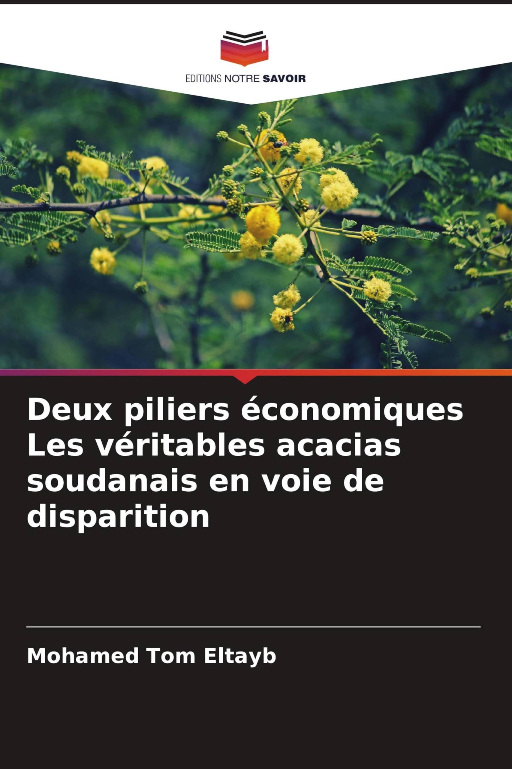 Deux piliers économiques Les véritables acacias soudanais en voie de disparition