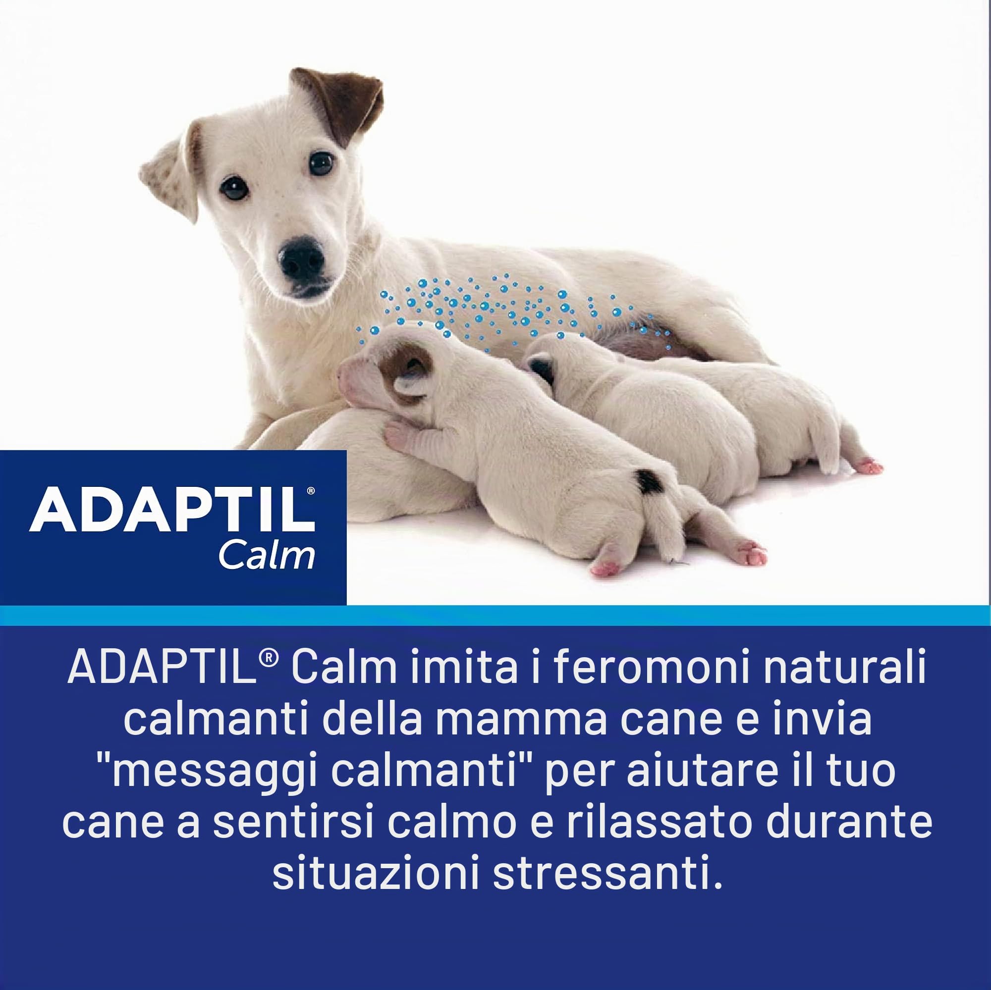 ADAPTIL Diffusore Calma casa per i Cani (30 Giorni Starter Kit)