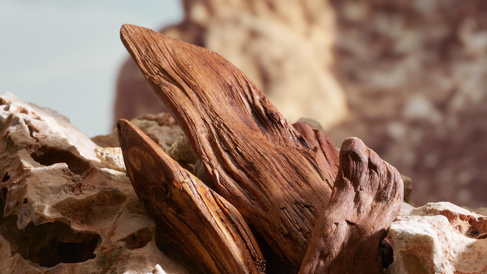 Dolce&Gabbana K Parfum, Eau De Parfum Spray, For Men