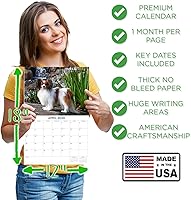 Vista 408 de Razas de Perros 2017