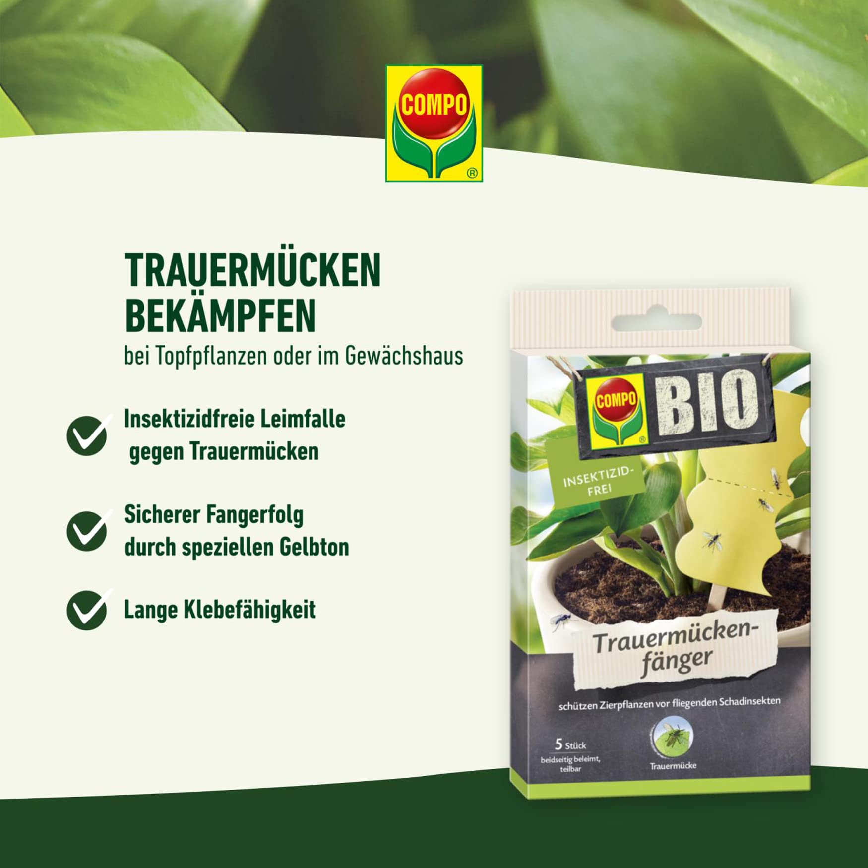 COMPO BIO Trauermckenfnger, Effektiv Trauermcken bekmpfen, Leimfalle  fr Zierpflanzen, Inklusive Holzstbe, Insektizid-frei, 5 Stck :  Amazon.de: Garten