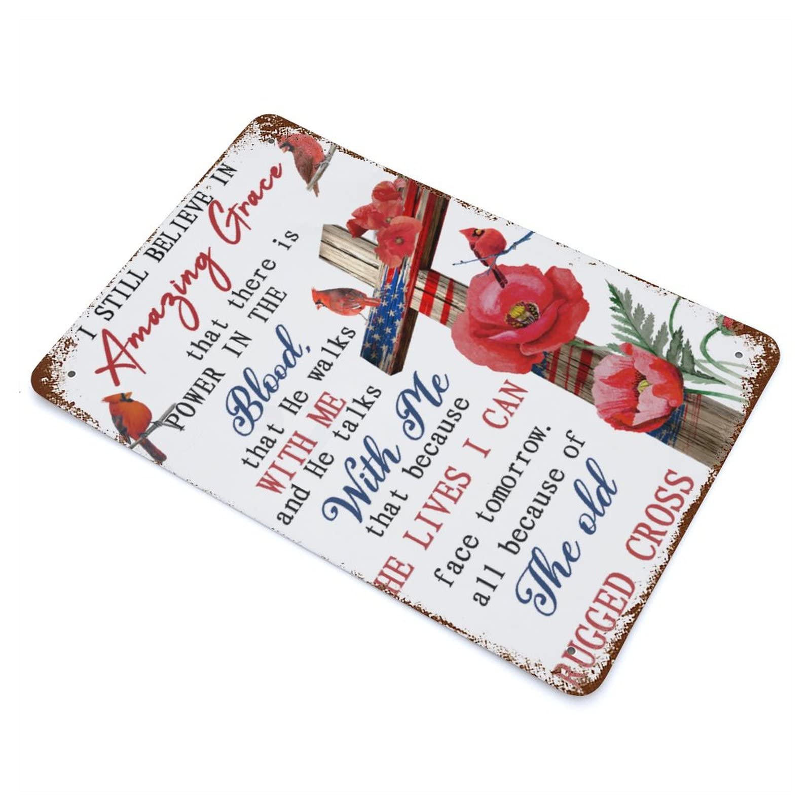 Panneau cardinal Amazing Grace déco bar pub et dortoir en métal de 30x45 cm