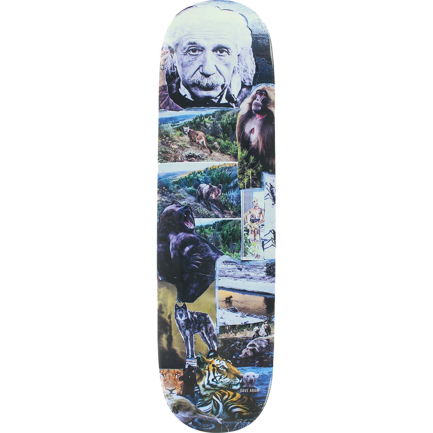 SCUMCO & SONS スカムコ&サンズ DAVE ABAIR 8.0” SCUMCO & SONS スカムコ&サンズ DAVE ABAIR 8.0”