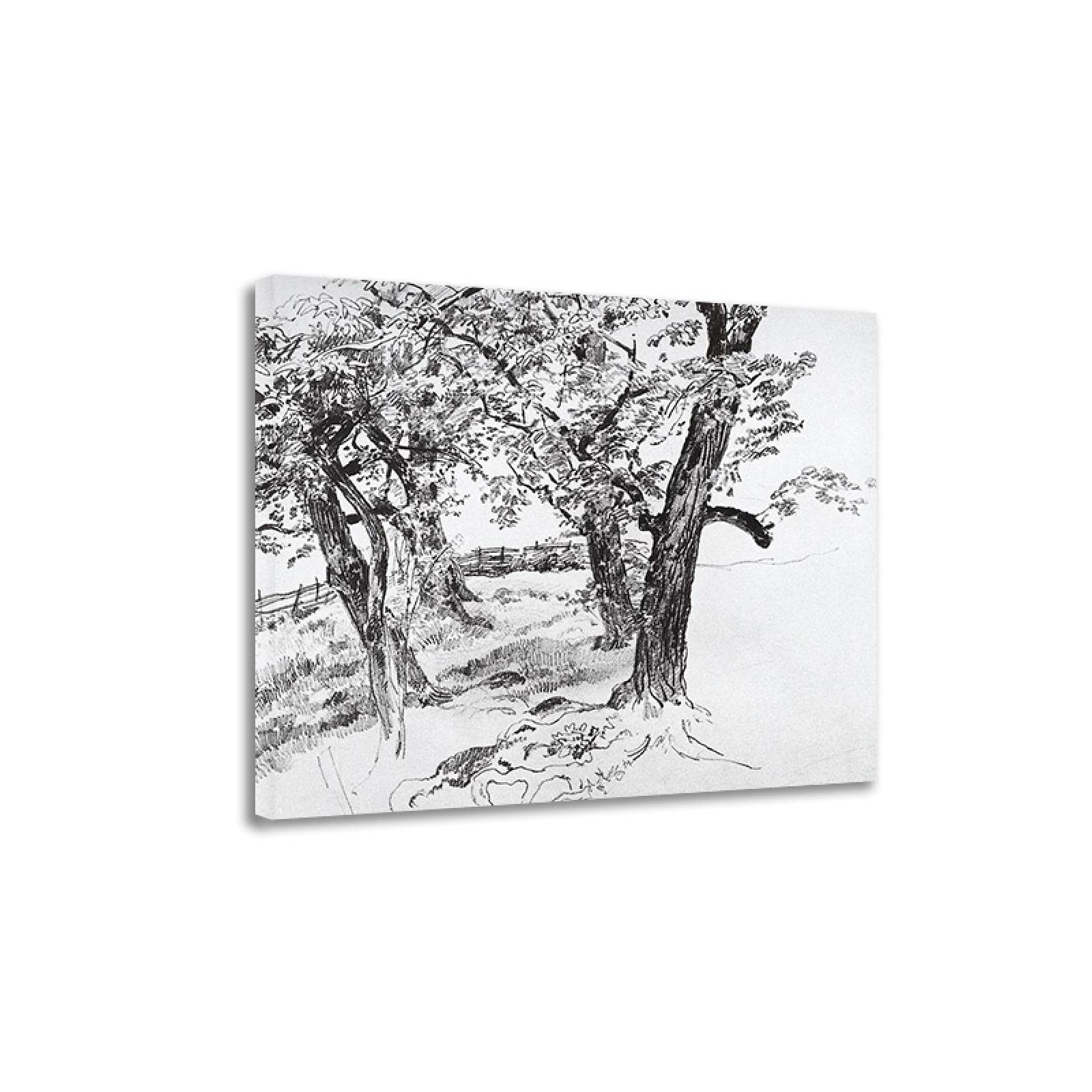 dipinti di alberi famosi - 4 Ivan Shishkin-Quadro su Tela-Alberi-Riproduzioni di dipinti famosi Arte da parete su tela per soggiorno 70x91cm Con Cornice : Amazon.it: Casa e cucina