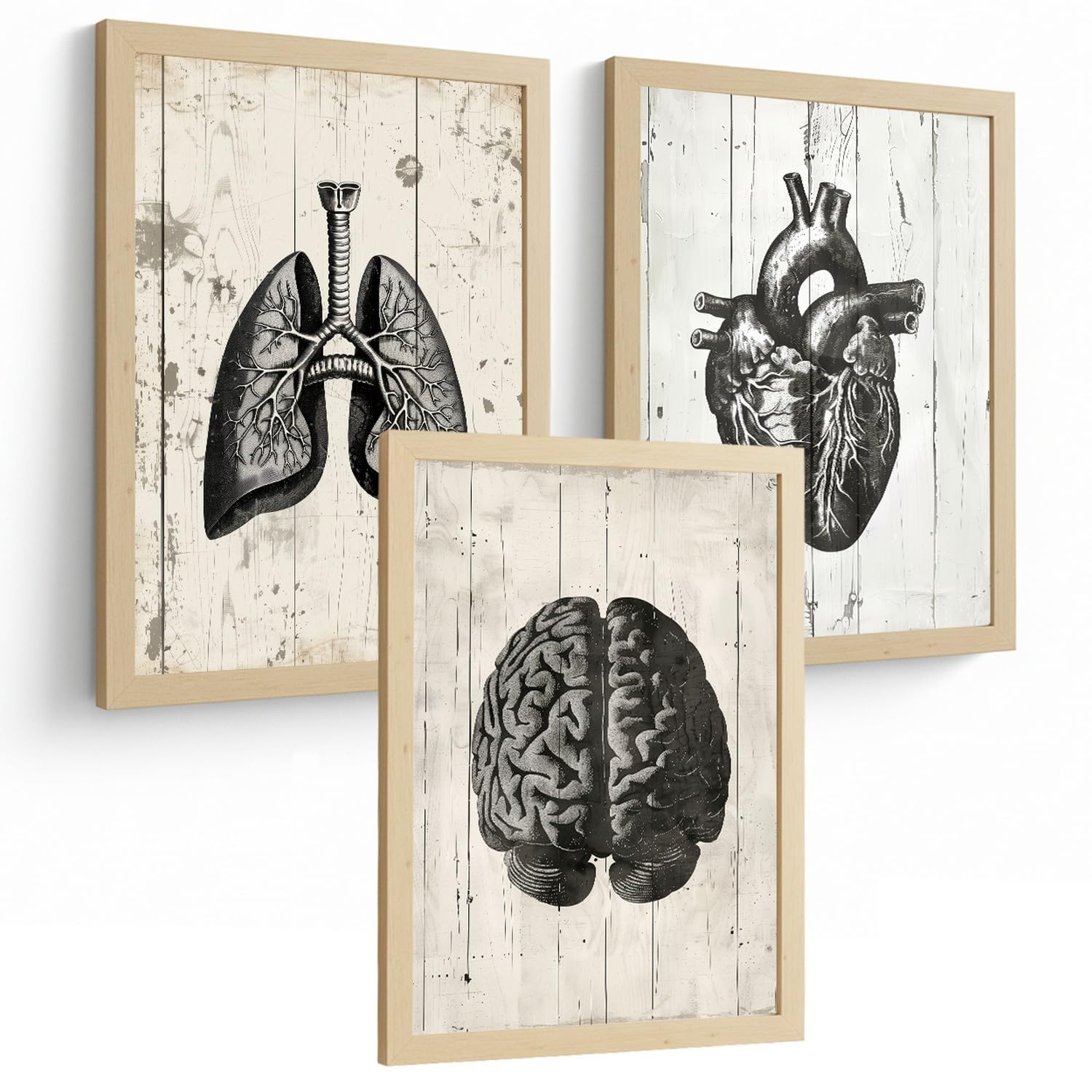 Nacnic Set Of 3 Human Anatomy Wall Art Prints Posters And Decorative Pictures With Brain Heart Lungs Trachea Bronchi Industrial Black And White Design Medical Wall Decor Size A4 Without Frame