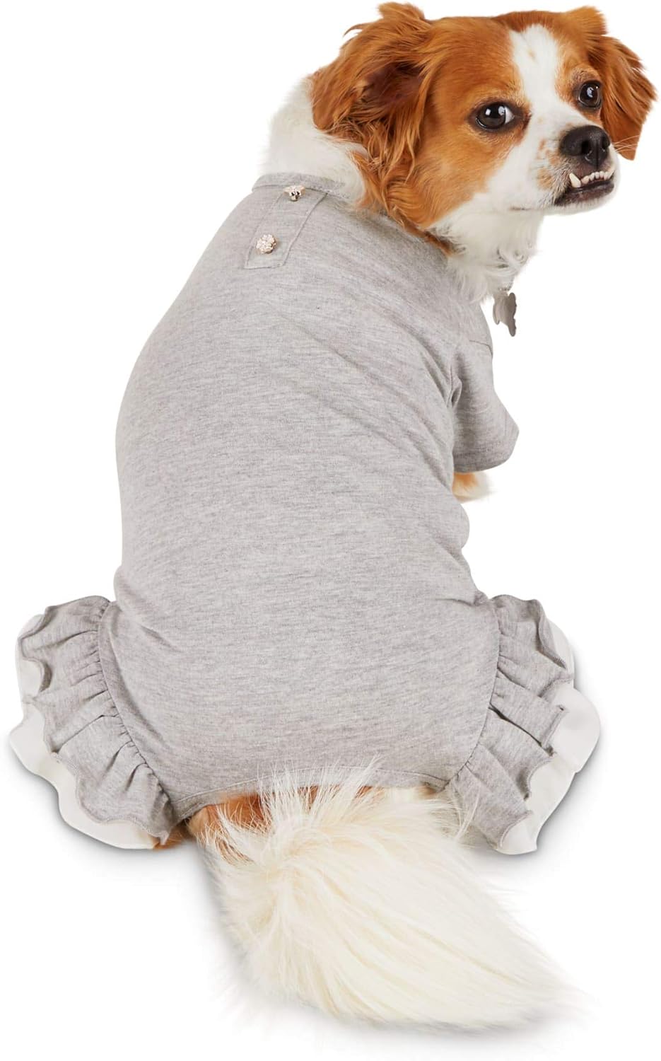 Bond & co dog clothing Clearance