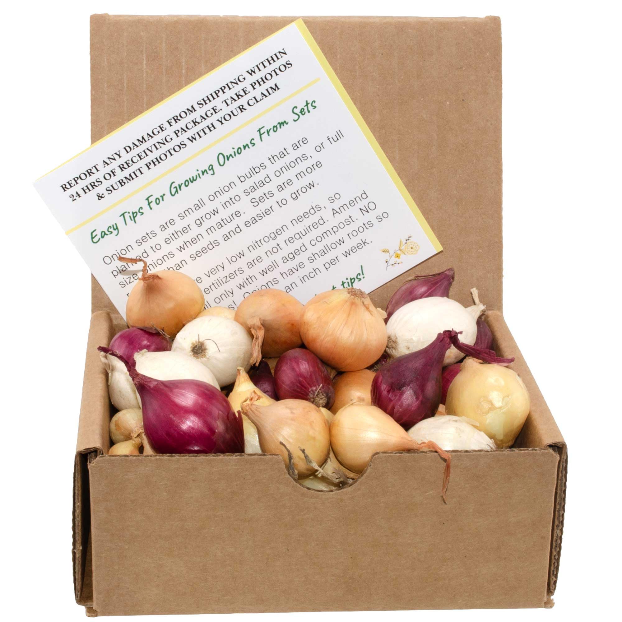Stargazer Perennials Mixed Onion Assortment