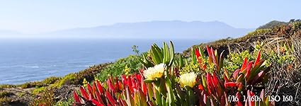 Review Image by Joseph C. Joseph C.