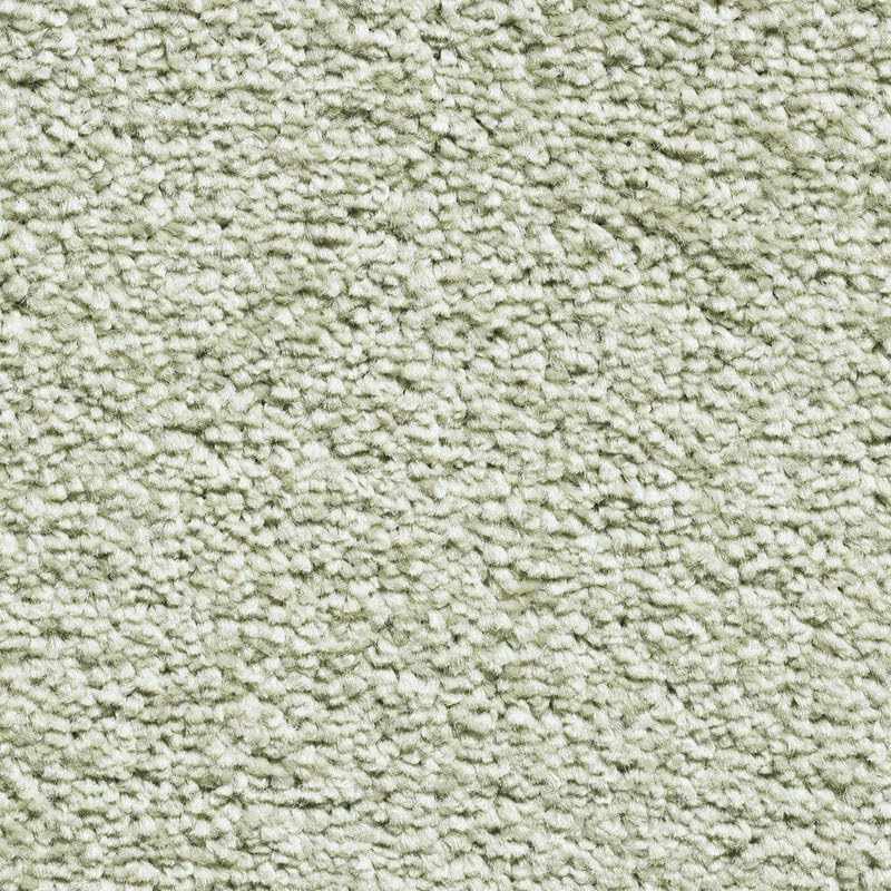 Tuda Carpet | Serene 10mm Pile Saxony Carpet with Action Backing, 12mm Total Height | Dusty Green (440) - 4m x 2.5 m (13ft1" x 8ft2") โ image 1