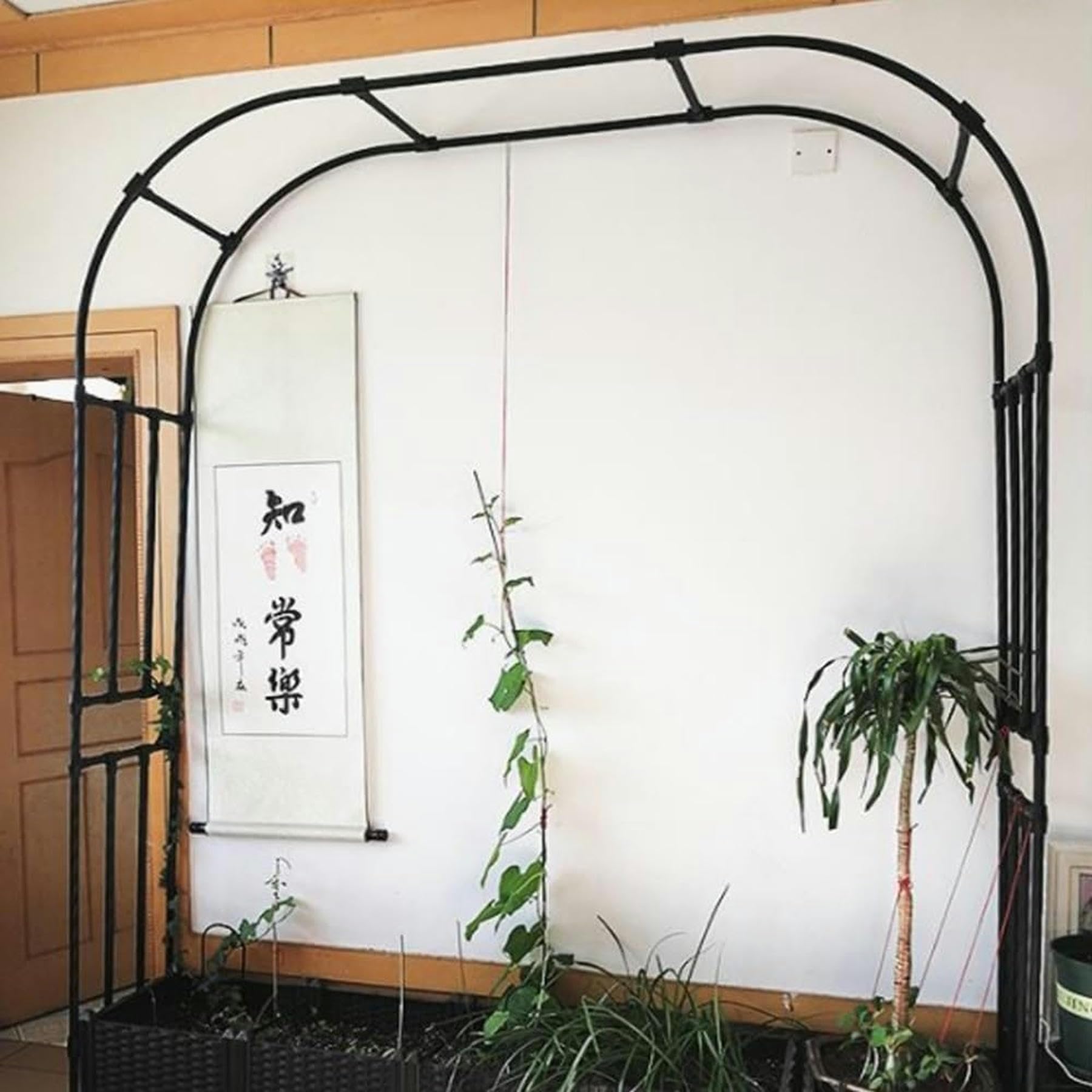 240cm Arche de Jardin pour Roses en Métal, Largeur 120-320cm, Arche Noire des Arcs en Acier Inoxydable Plantes, Montage Facile (Dimensions : 210 x 240 cm)