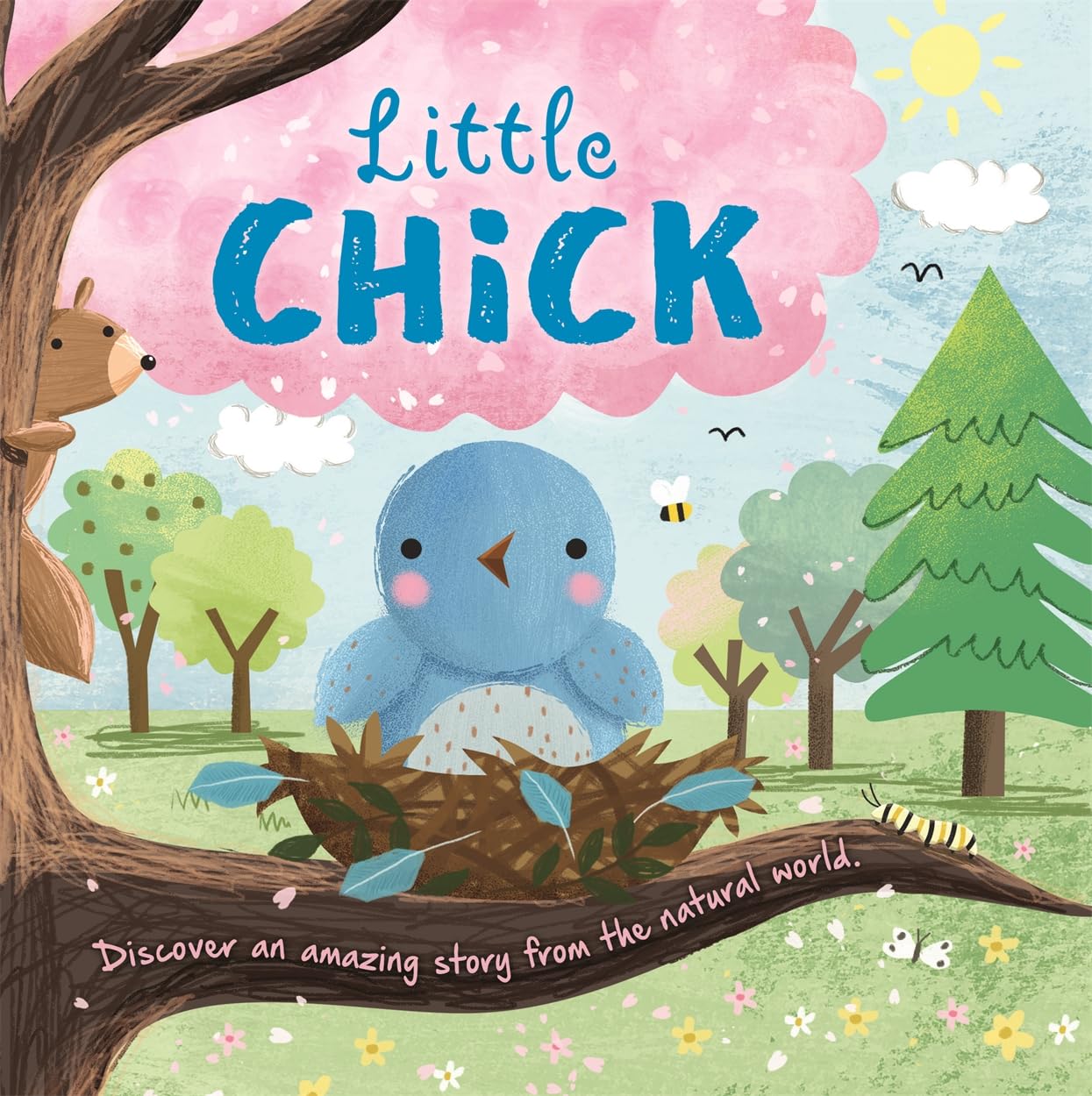 Little Chick (An illustrated story about the life-cycle of a chick)
