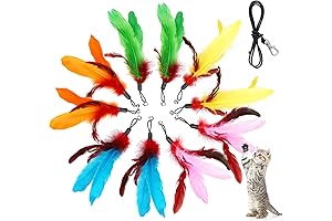 11PCS Interactive Feather Cat Toy Replacement for Indoor Cats and Kittens
