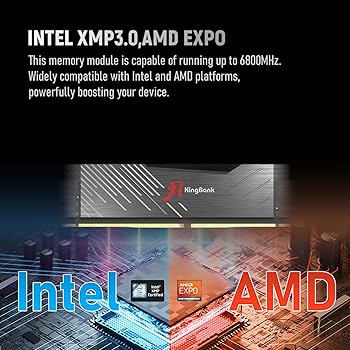 ドットラム　memory  PR KingBank Computer Desktop Memory Ram Hynix A-die DDR5 32GB