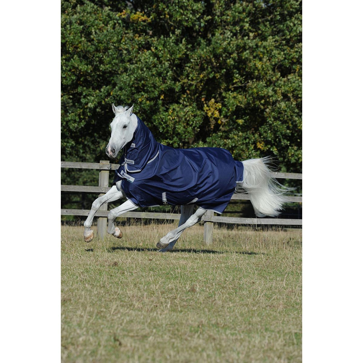 Bucas Freedom Turnout 300/150g Full Neck - Navy, Größe:125