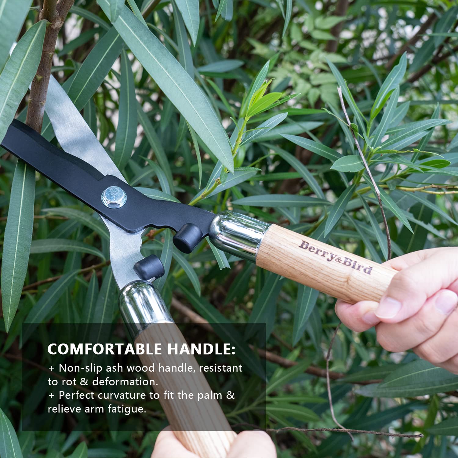 Berry&Bird Garten Heckenschere, 50.5 cm Schwere Ausführung zum Trimmen von Rändern, Buchsbaum und Büschen, Manuelle Heckenschere mit Scharfen Klingen aus Carbonstahl und Komfortgriffen