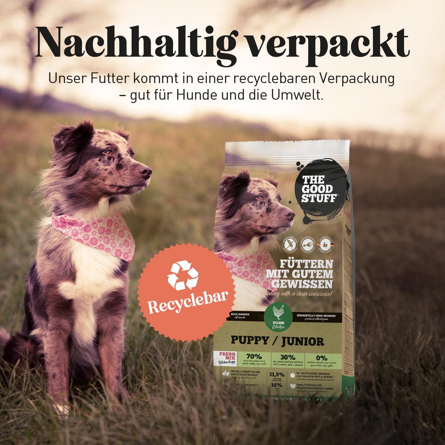 The GOODSTUFF Poulet (Puppy/Junior) | 2,5 kg | Croquettes pour Chiots sans Céréales | avec de la Viande de Poulet Fraîche | Nourriture Sèche pour Chiots et Jeunes Chiens
