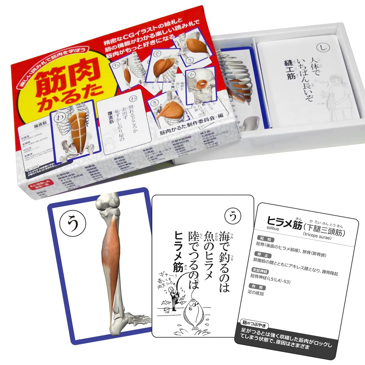Amazon | かるた トランプ 「筋肉かるた＆筋肉トランプ特別2種類 