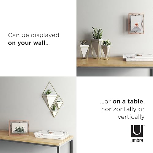 Miniatura 5 de Prisma Exhibición de fotos tipo galería