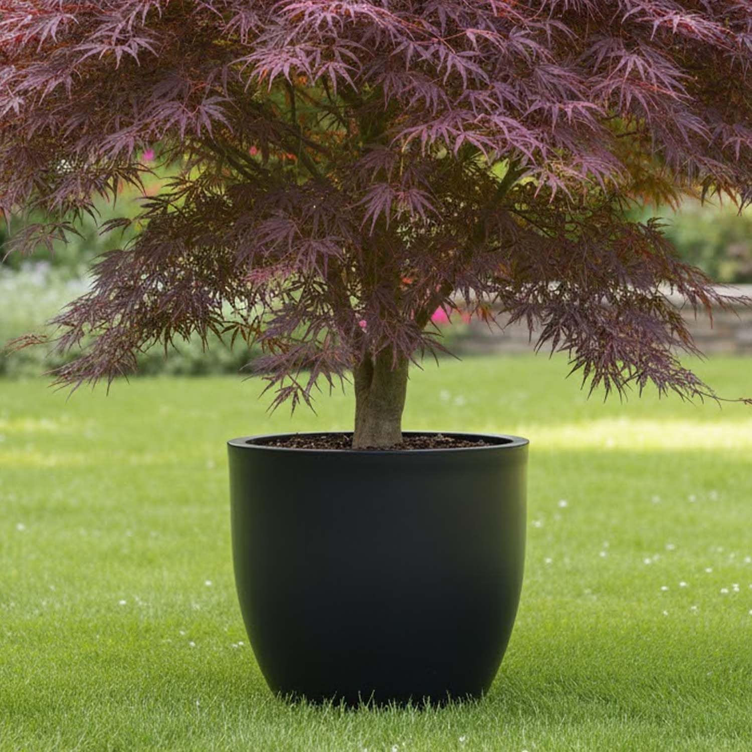 Go Hooked Home Decor Planter 15 Inch for Home & Office | Modern Indoor Planter for Living Room, Bedroom & Balcony | Decorative Planter Perfect for Artificial & Live Plants (Pluto Pot, Black)-picture-31