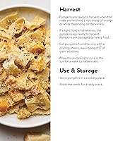 Vista 3 de Burpee Semillas de Calabaza Connecticut 50 semillas