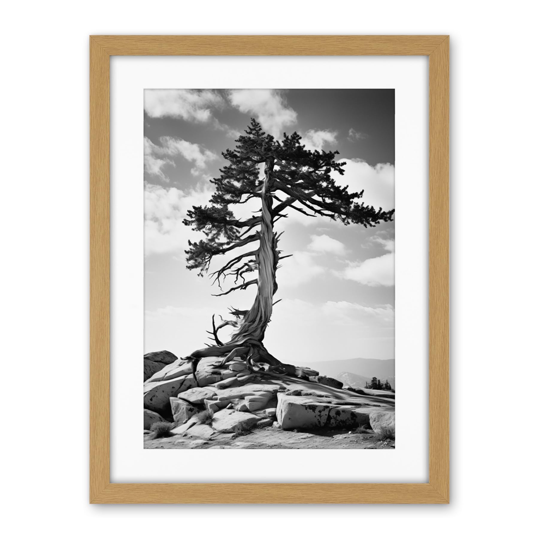 Artery8 Weathered Jeffrey Pine Standing on a Rocky Hill Black and White Photograph Lone Tree Artwork Framed Wall Art Print 18X24 Inch