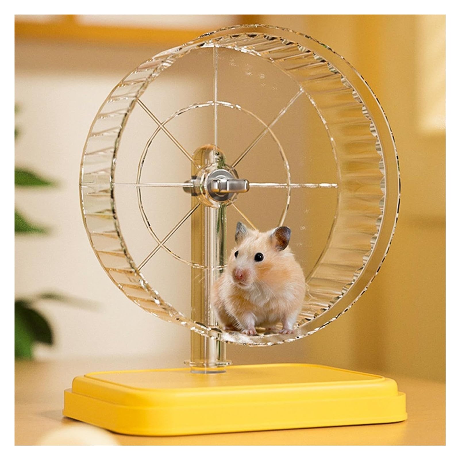 Ruota silenziosa for criceti: ​​Funzionamento Silenzioso, Design con Cuscinetti Lisci for criceti e Piccoli Animali Domestici