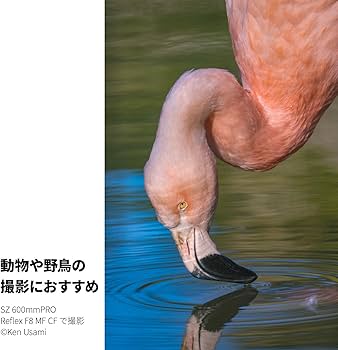 Amazon.co.jp: Tokina 望遠ミラーレンズ SZ 600mm PRO Reflex F8 MF CF