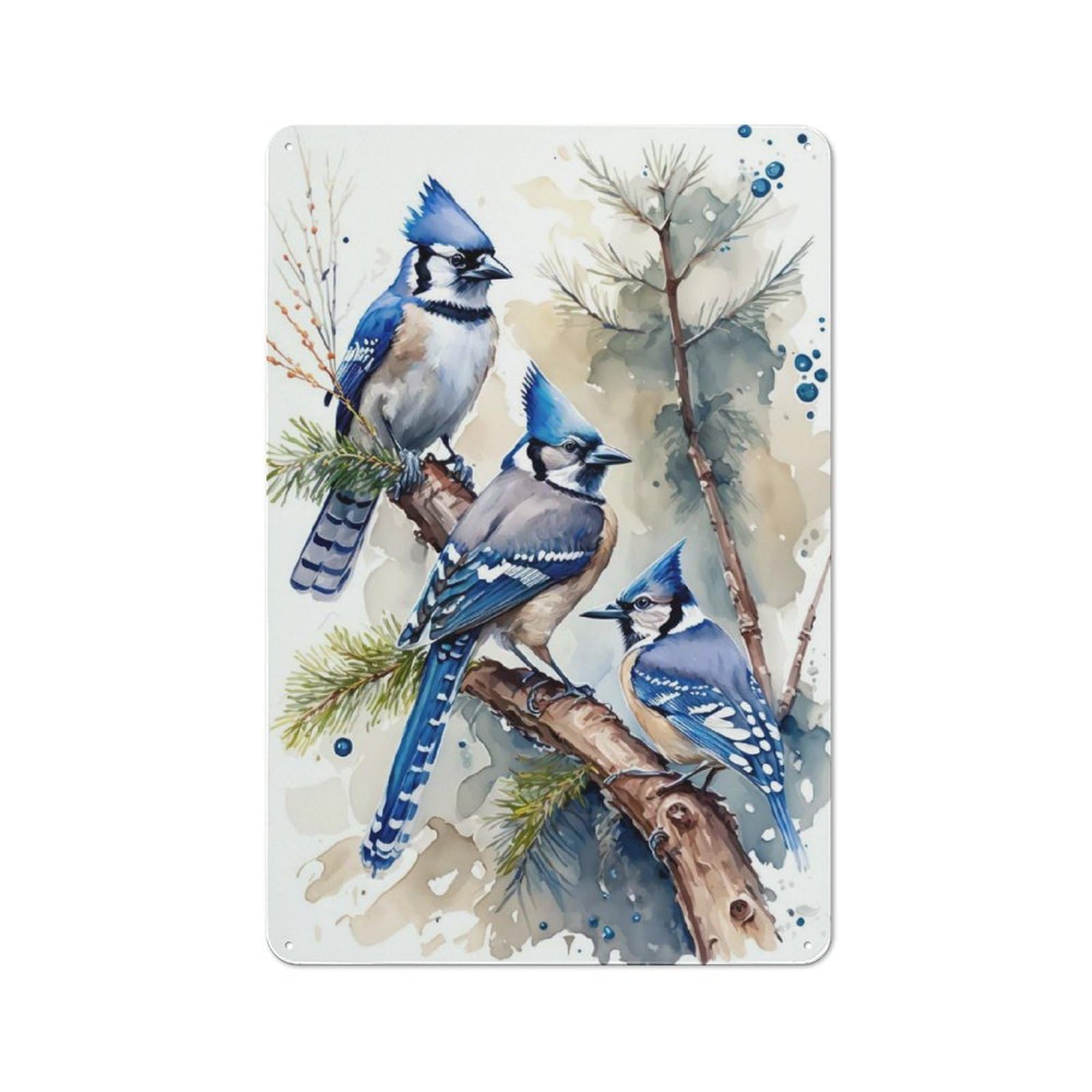 Vintage Tin Sign 30x20cm with Watercolor Blue Jay Bird for Hobby Room Or Studio, for Metal Sign Collectors, for Garage And Workshop Walls