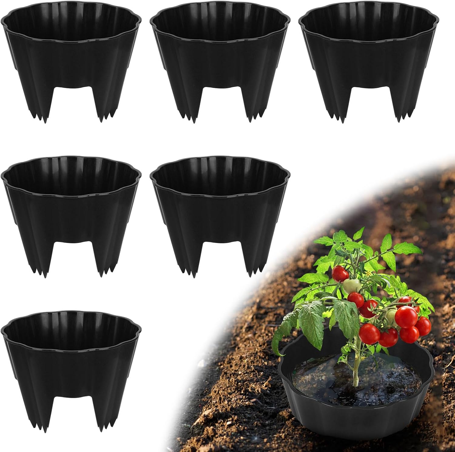 6 Pack of 10 Inch Planting Grow Rings, Planting Protective Round Garden Edging, Keeping Plants Separated, Weed Control and Directing Water to the Roots (10 Inch - 6 Pack - Black)