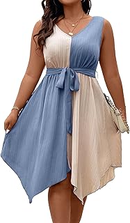 Women's Plus Size Color Block Dress V Neck Sleeveless A Line Asymmetrica...