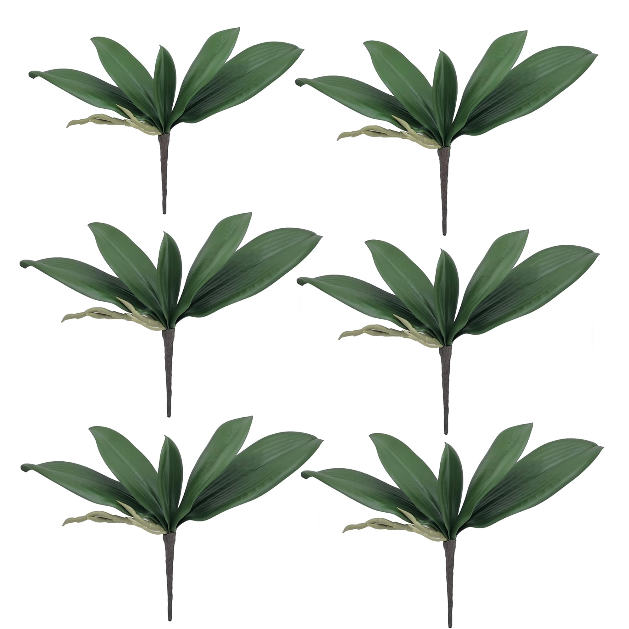 M2cbridge 10,6Pcs Artificial Green Orchid Leaves Phalaenopsis Stems Real Touch For Flowers Arrangements Pot Decor(10",6Pcs)