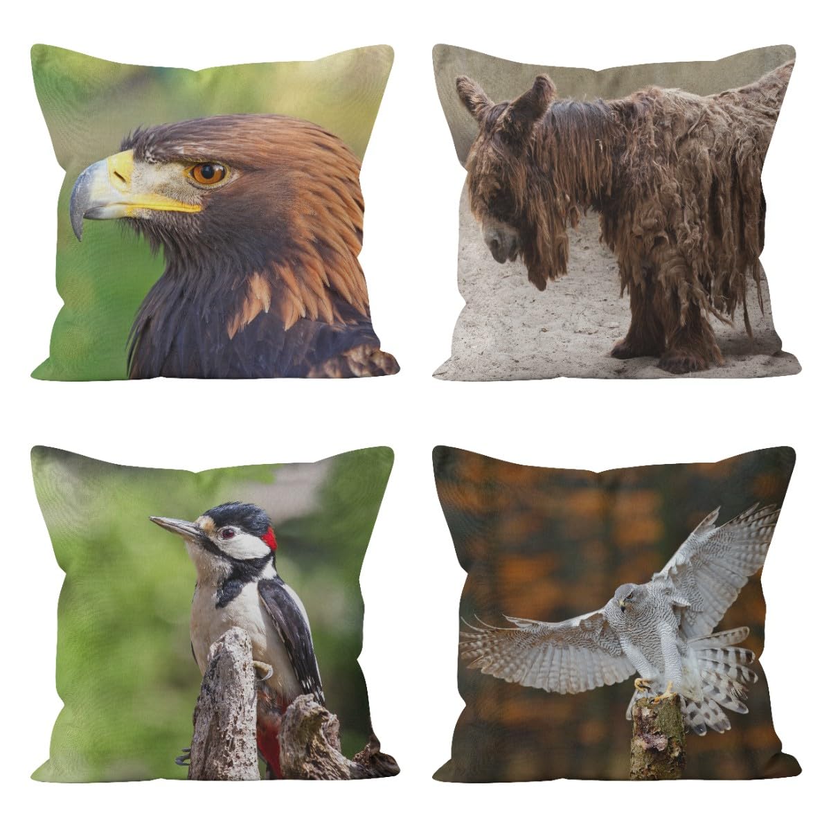 Taie d'oreiller rapace et housse de coussin 50x50 pour changer de style