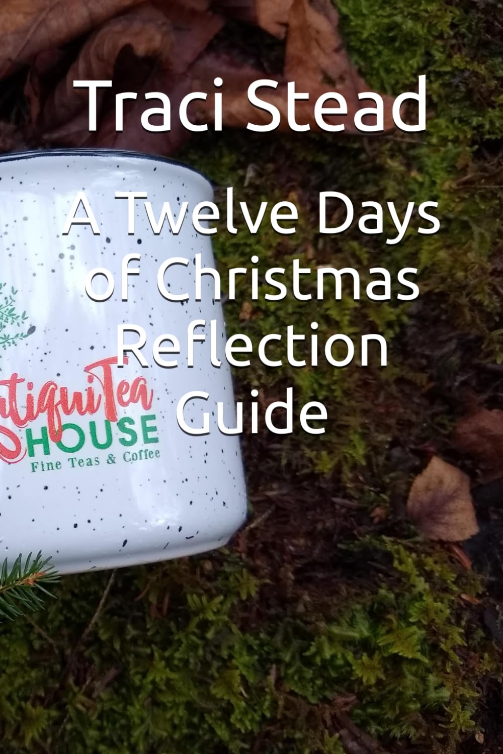 A Twelve Days of Christmas Reflection Guide