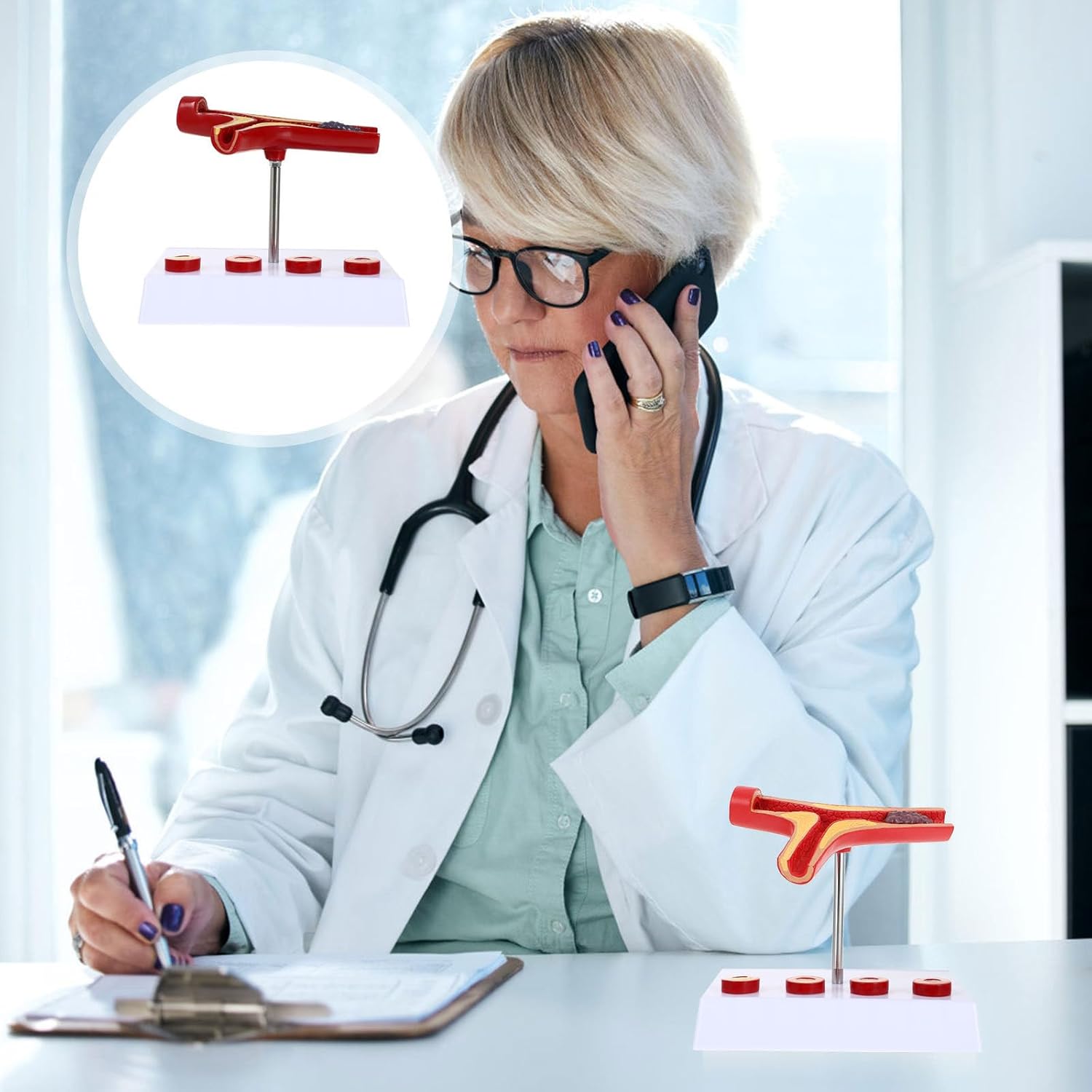 Gatuida Human Blood Vessel Model Vascular Model PVC Tool Human Body Human Cardiovascular Model