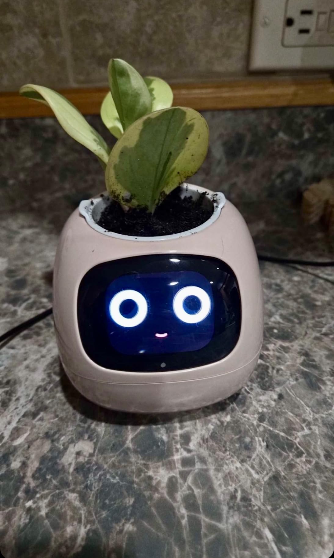 Plantagotchi - AI Smart Planter photo review