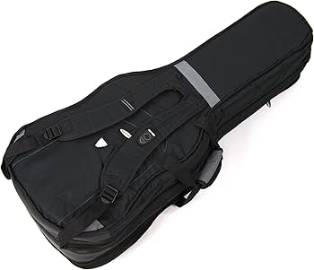 Aria Pro 2 TA-700 (Ritter Gig Bag付き) Aria Pro 2 TA-700 (Ritter Gig Bag付き) Aria Pro 2 TA-700 (Ritter