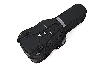 Aria Pro 2 TA-700 (Ritter Gig Bag付き) Aria Pro 2 TA-700 (Ritter Gig Bag付き)