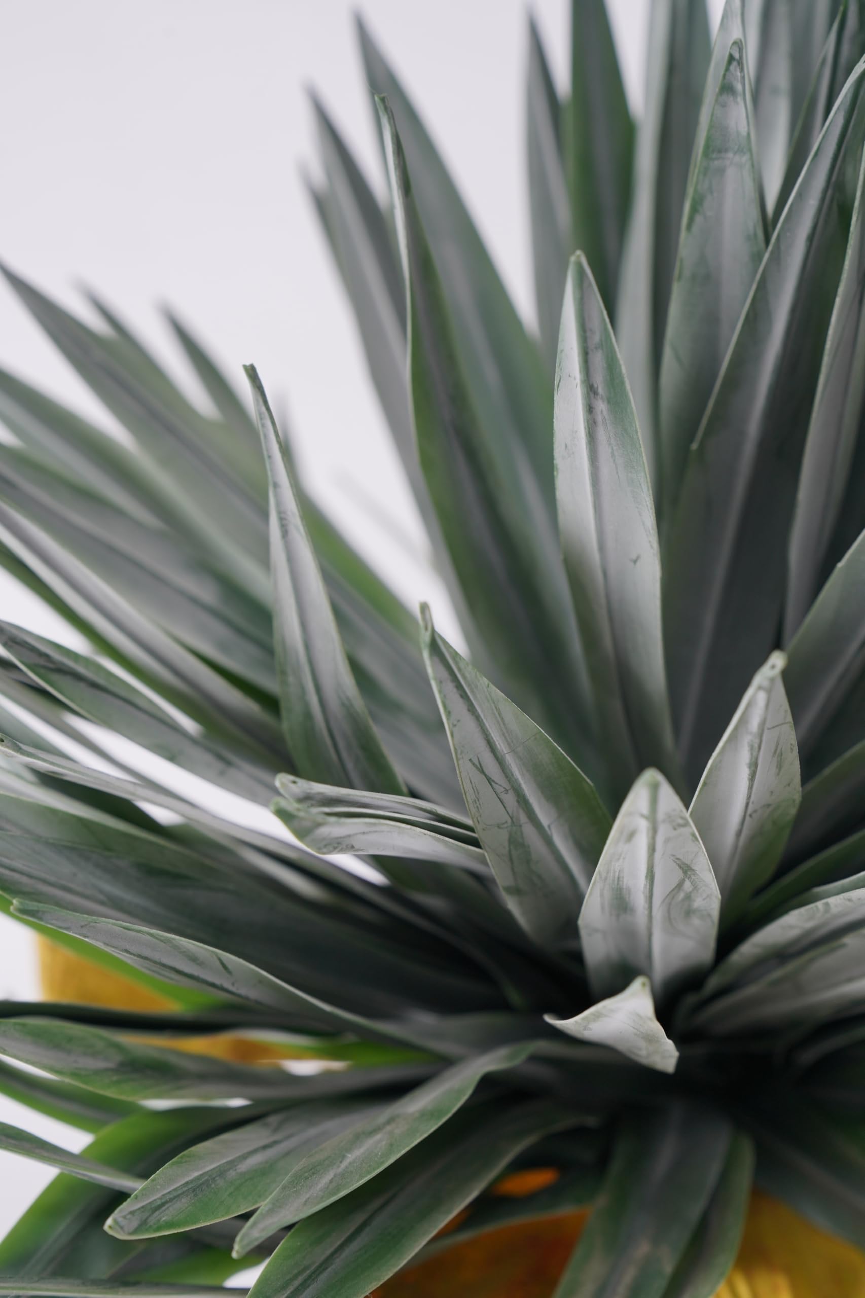 Yucca Pianta Grassa Sintetica da Arredamento Realistica 165 cm, Foglie PVC, per Spazi Interni, Abitazioni Residenziali e Attività Commerciali