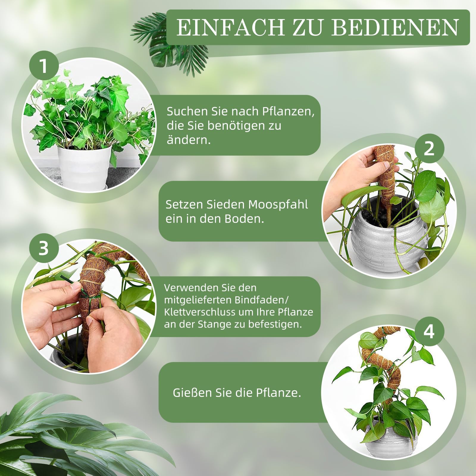 Podpórka do roślin pnących Monstera 75 cm, 2 sztuki prętów, wsparcie dla roślina pokojowych