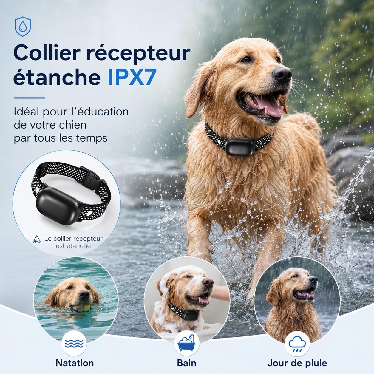 Collier Dressage Electrique Chien Portée 1200m, Collier Anti-Aboiement | 1-16 Niveaux Entraînement, Étanche Rechargeable, 3 Modes de Dressage BIP Vibration Choc, Adapté à Tous Les Chiens