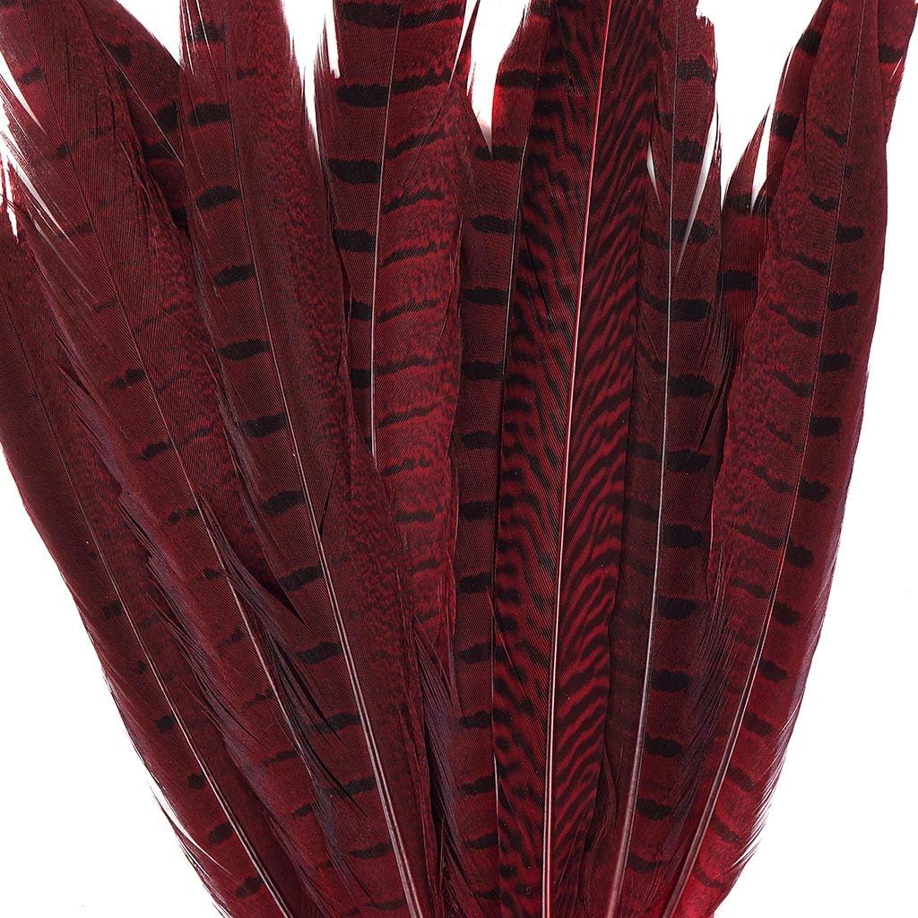 Pheasant Tail Feather Craft Supplies - 8-14" Red Wedding Centerpiece Home Decor 10pcs