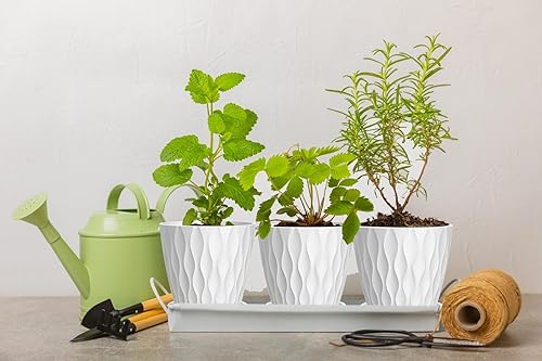 Miniatura 5 de Macetas de 4 pulgadas, paquete de 6 macetas de interior, macetas con agujeros de drenaje y bandejas para orquídeas, violetas, suculentas, hierbas y