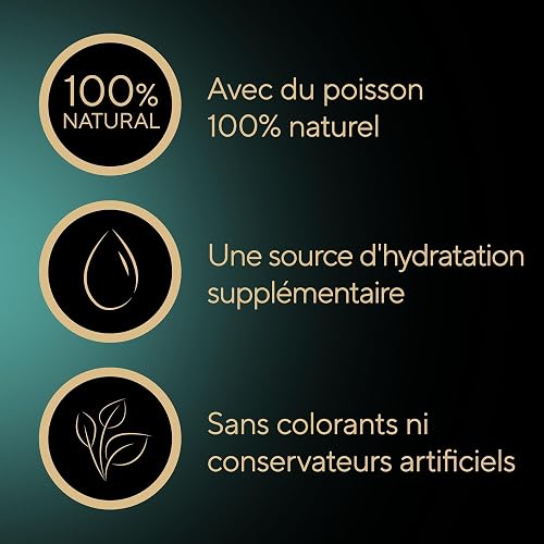 Produto B0G3CFVYP7 - 3