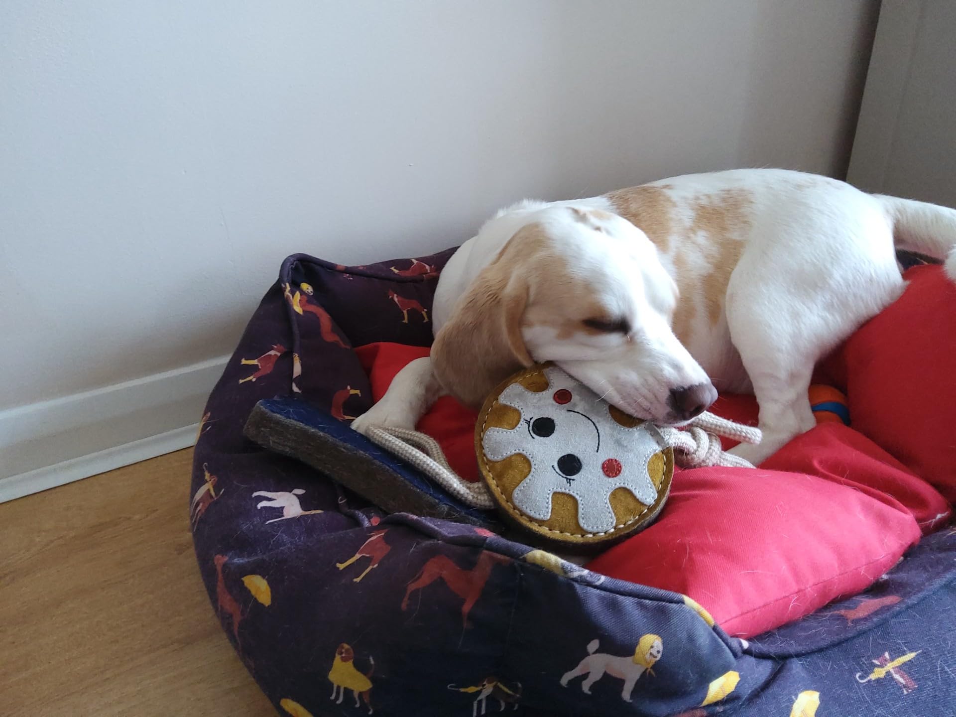 Ruggles Dog Toy - Tough Suede Dog Toy - Tug, throw, chew (Doughnut), Multi Coloured - Image 4
