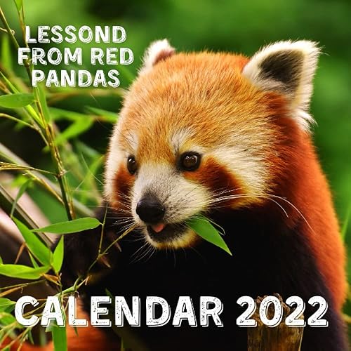 Lessons From Red Pandas Calendar 2022: September 2021 - December 2022 Monthly Planner Mini Calendar With Inspirational Quotes