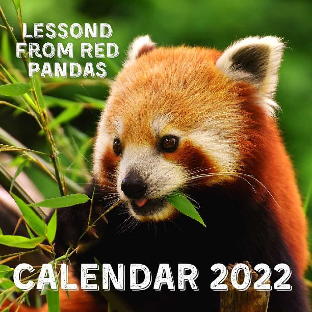 Buy Lessons From Red Pandas 2022 September 2021 December 2022